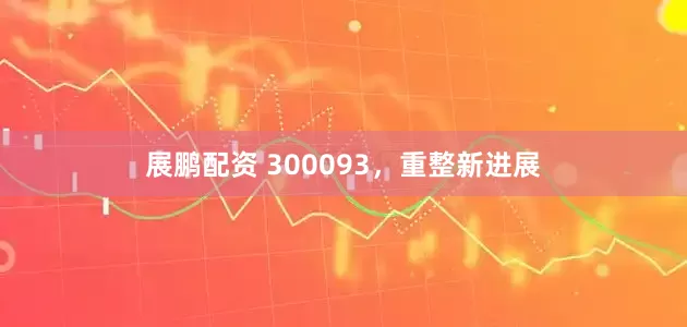 展鹏配资 300093，重整新进展