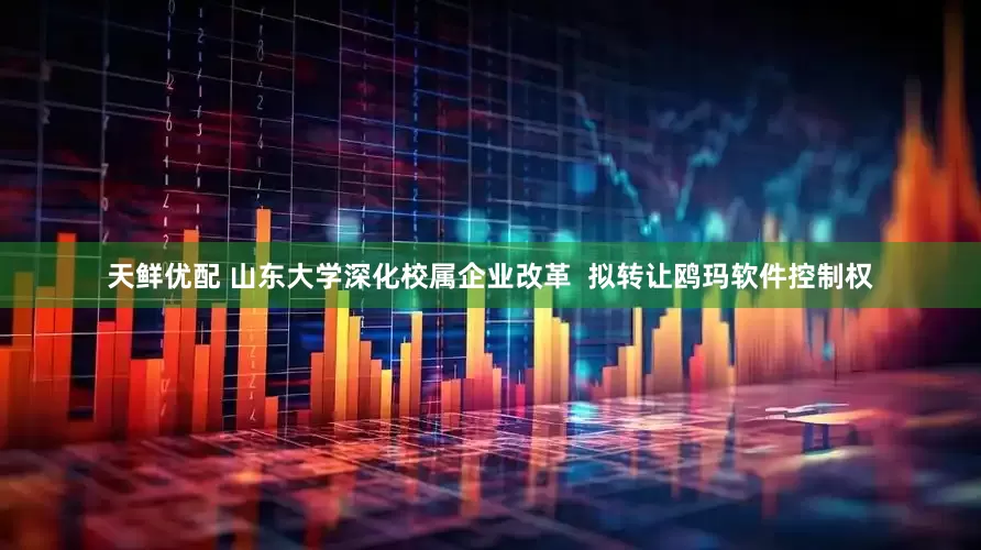 天鲜优配 山东大学深化校属企业改革  拟转让鸥玛软件控制权