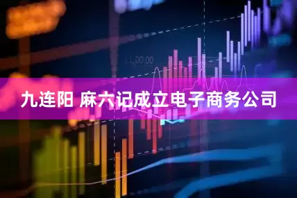 九连阳 麻六记成立电子商务公司