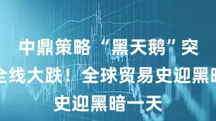 中鼎策略 “黑天鹅”突袭！全线大跌！全球贸易史迎黑暗一天