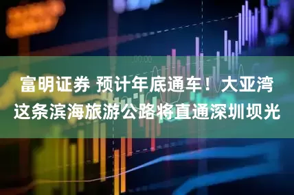 富明证券 预计年底通车！大亚湾这条滨海旅游公路将直通深圳坝光